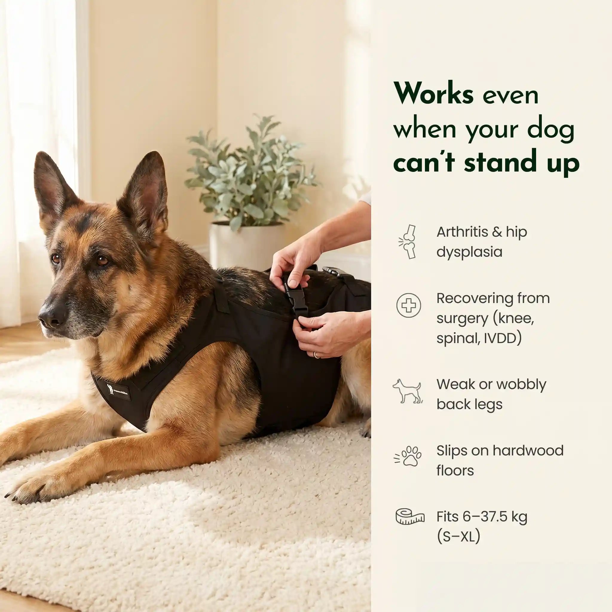 LiftPaw™ Mobility Support Harness