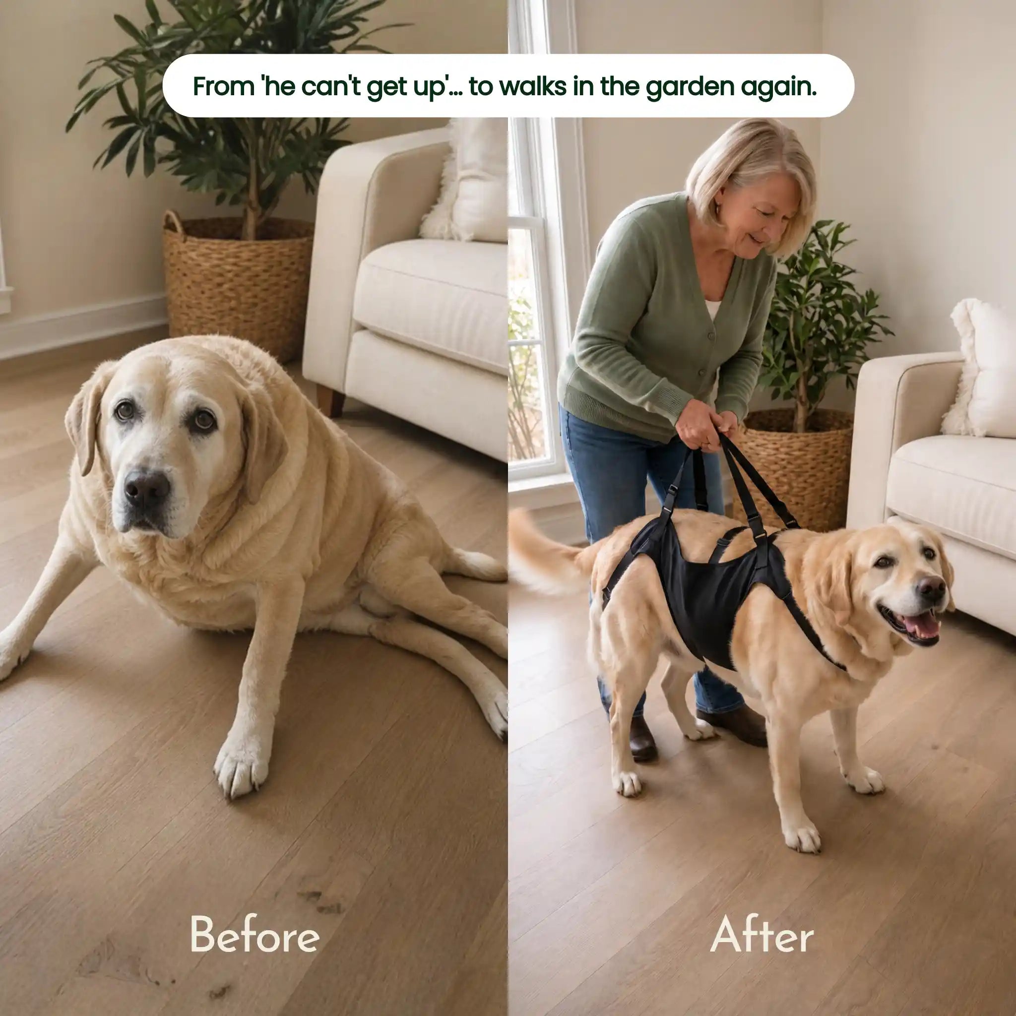 LiftPaw™ Mobility Support Harness