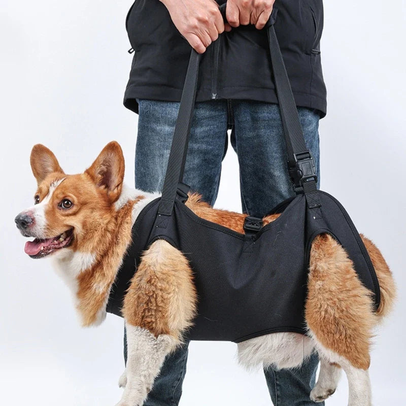 LiftPaw™ Mobility Support Harness